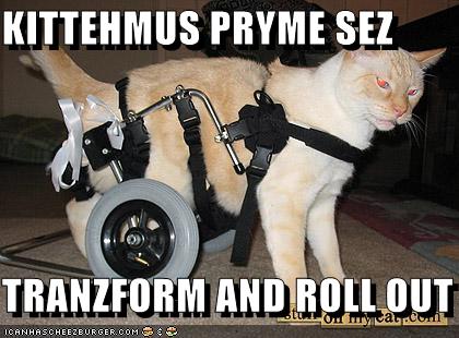 128291598919340000kittehmuspryme.jpg
